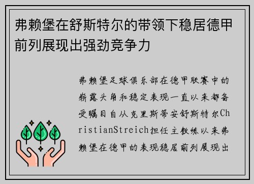 弗赖堡在舒斯特尔的带领下稳居德甲前列展现出强劲竞争力